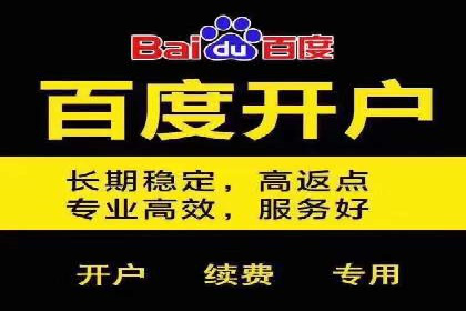 百度竞价排名案例：如何应对竞争对手的挑战