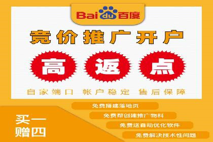 竞价广告赚钱案例：从新手到专家